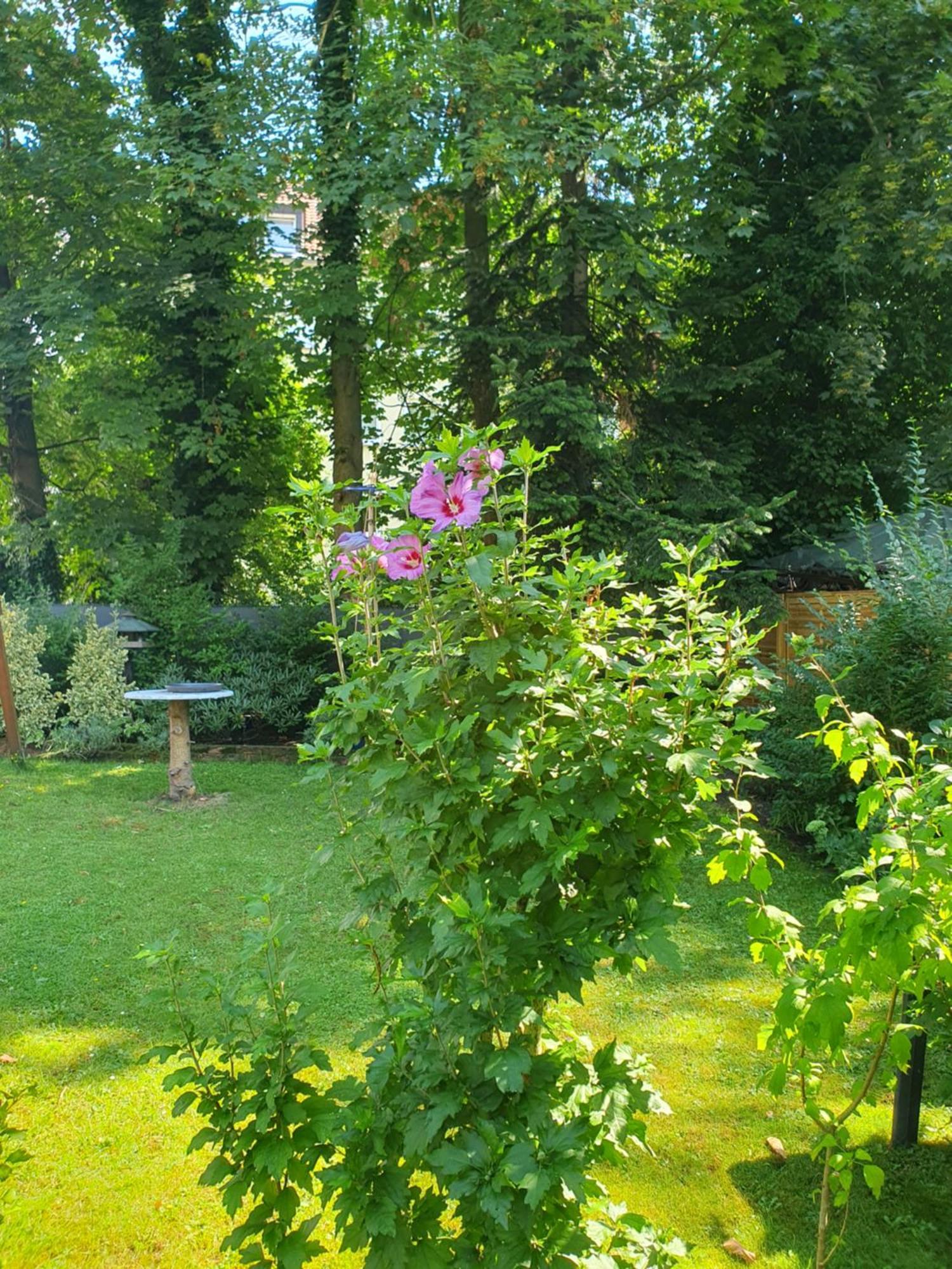 Appartement In Гелзенкирхен Екстериор снимка